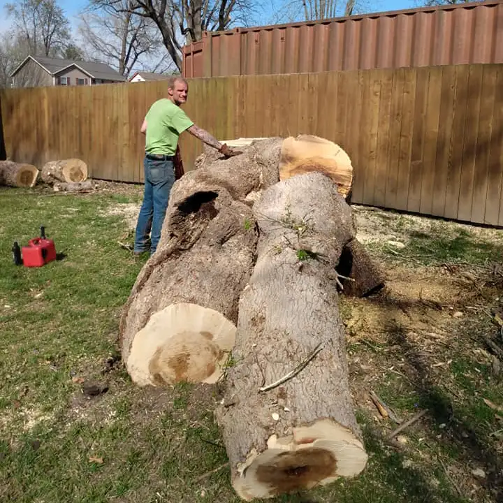 All Around Tree Care - tree removal, professional tree removal and debris clean up - O'Fallon, IL