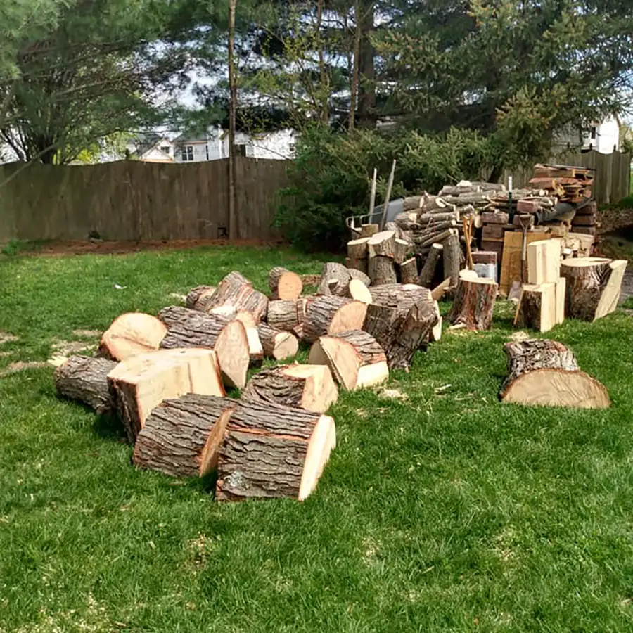 All Around Tree Care - tree removal, freshly cut lumber, logs, professional tree removal and debris clean up - O'Fallon, IL