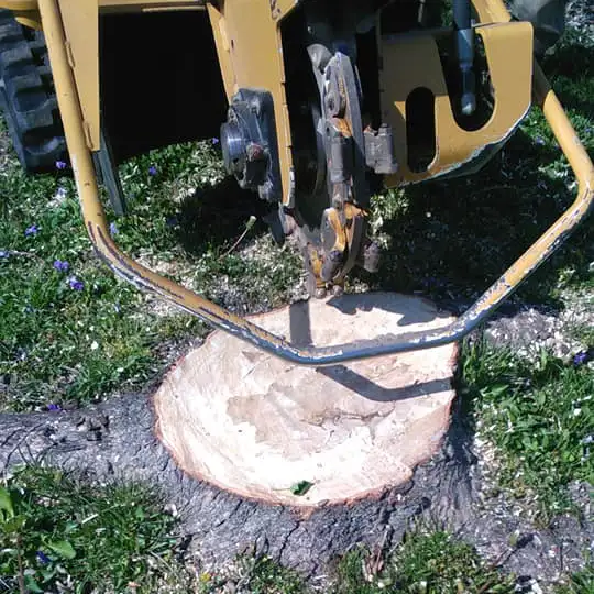 All Around Tree Care - tree removal, stump grinder ready to work - O'Fallon, IL