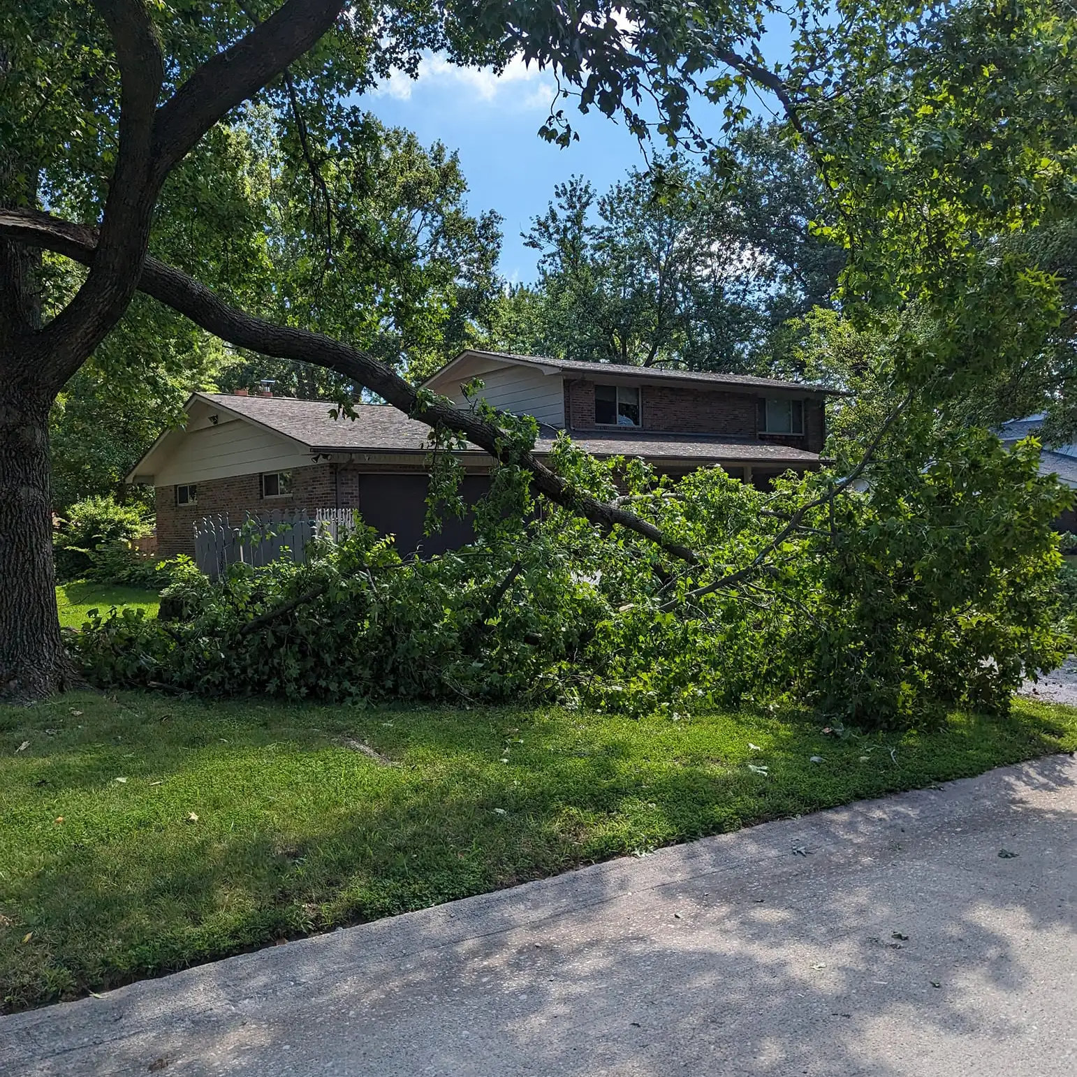 All Around Tree Care - storm damage, tree removal, professional tree removal and debris clean up - O'Fallon, IL