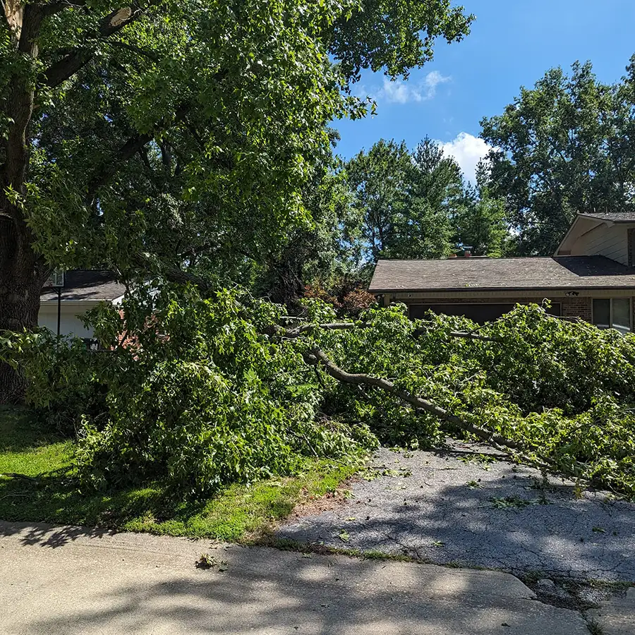 All Around Tree Care - storm damage tree removal, professional tree removal and debris clean up - O'Fallon, IL