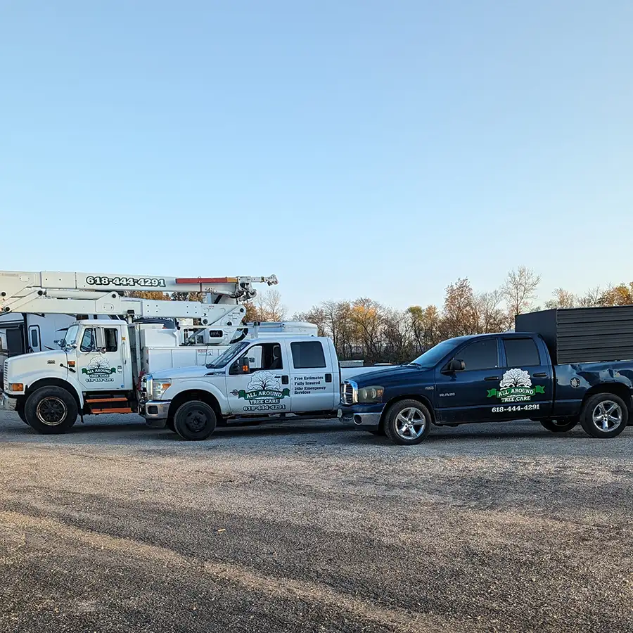 All Around Tree Care - tree trimming, professional tree trimming, removal, and debris clean up - company vehicles - O'Fallon, IL