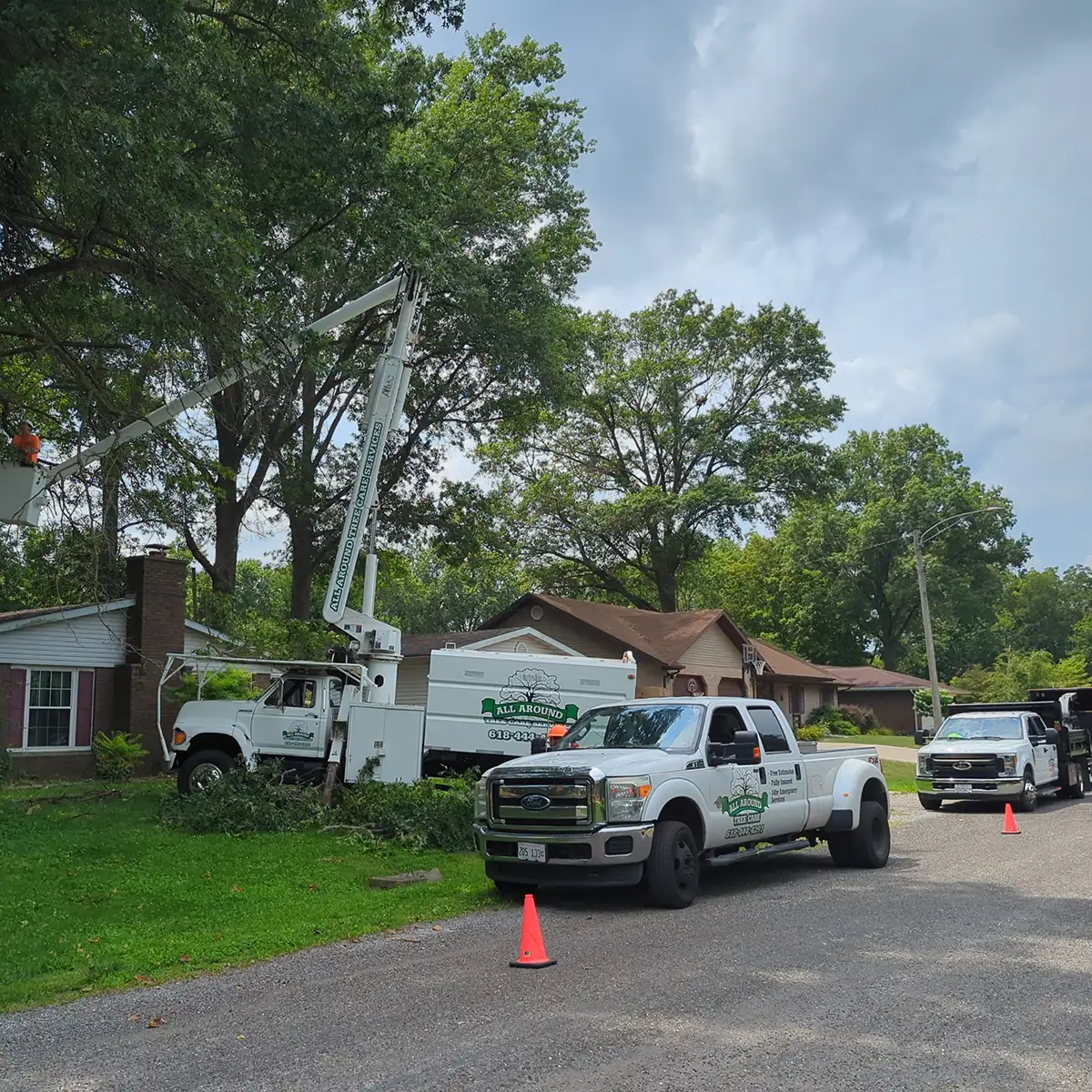 All Around Tree Care - tree trimming, pruning - O'Fallon, IL