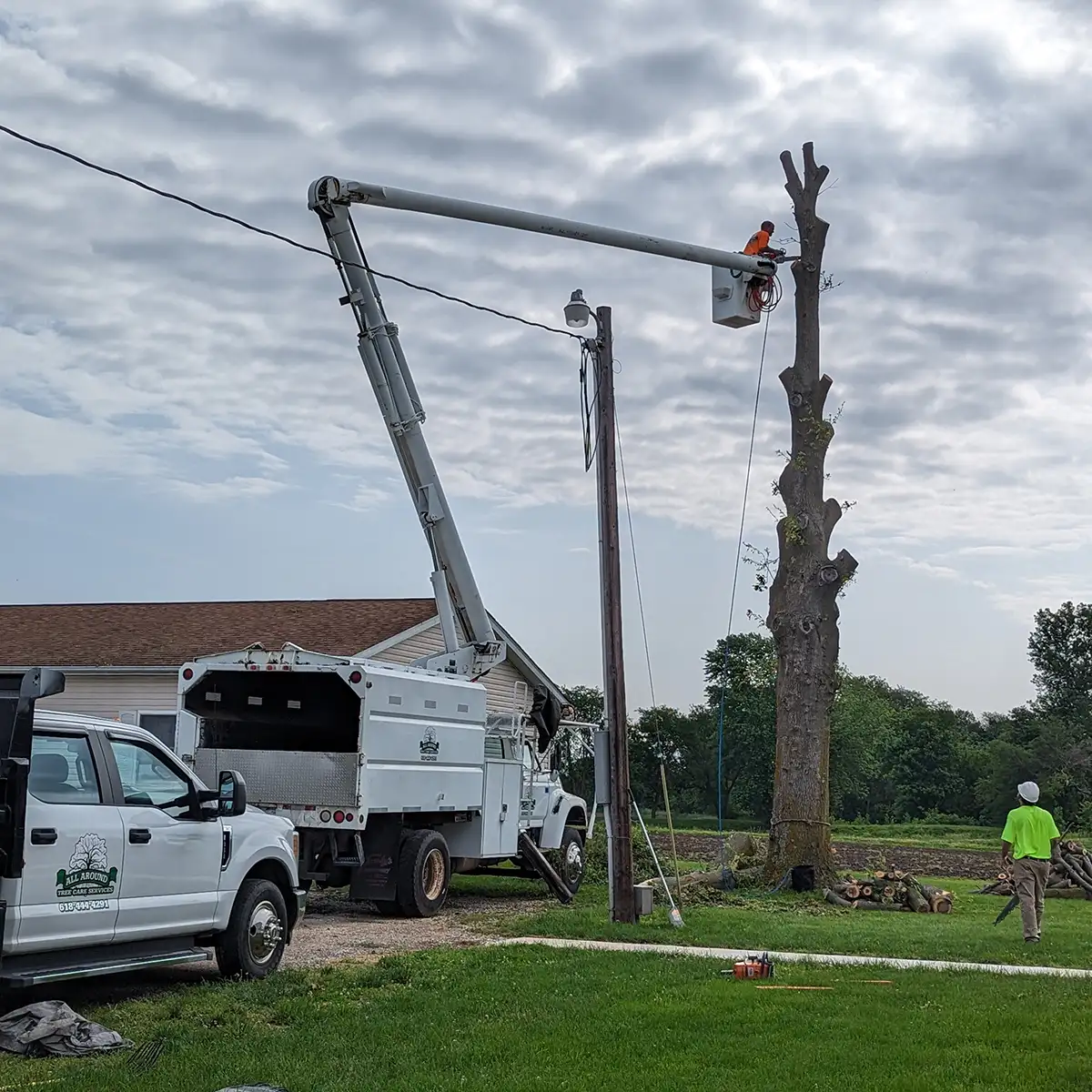 commercial tree removal service o'fallon illinois
